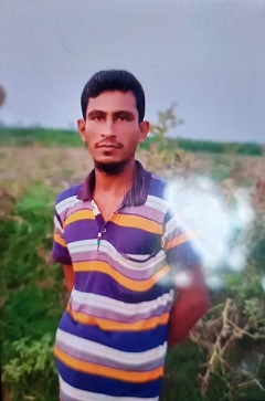 image-here